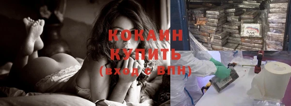 шишки Аркадак