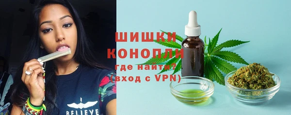 первитин Арсеньев