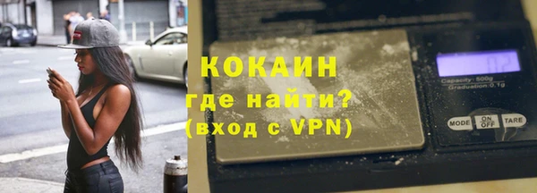 шишки Аркадак