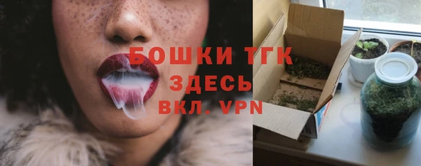 шишки Аркадак