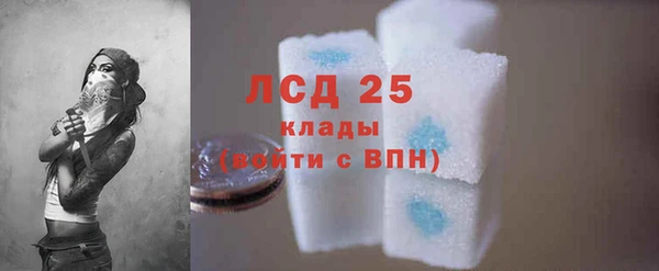 шишки Аркадак
