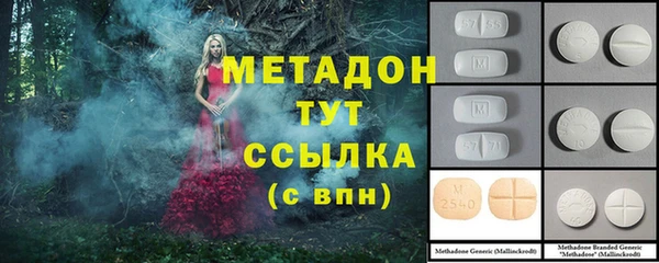 шишки Аркадак
