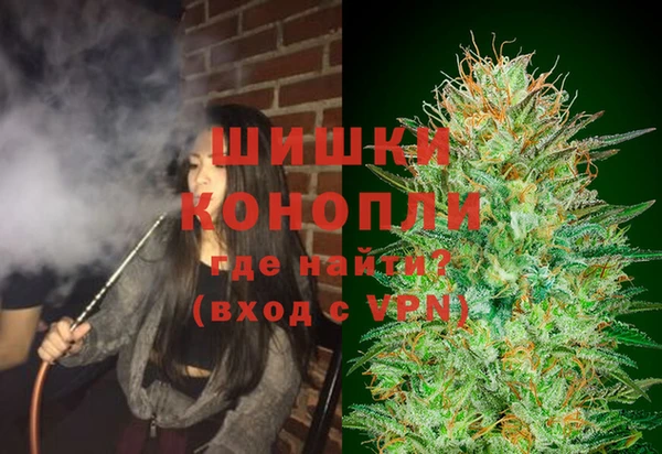 шишки Аркадак