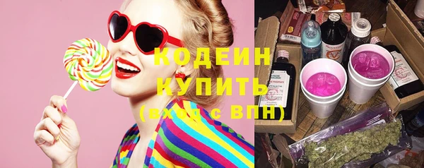 шишки Аркадак