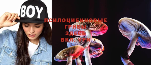 шишки Аркадак