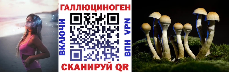 Галлюциногенные грибы мицелий  как найти наркотики  Пласт 